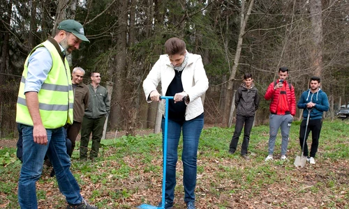 Principesa Maria actiune de plantare Parcul Regal Peles 17 aprilie 2018 foto Casa MS Daniel Angelescu 7 1 jpeg