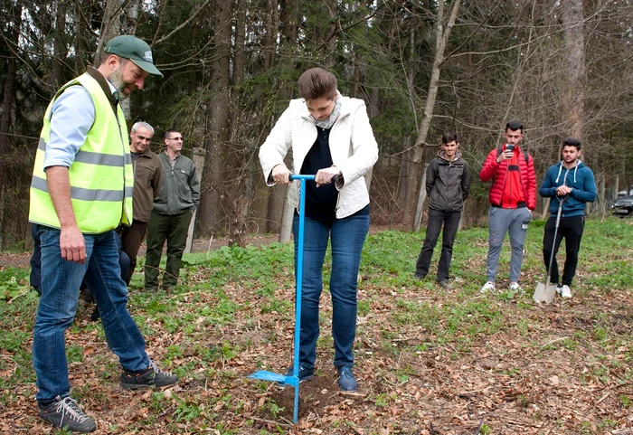 Principesa Maria actiune de plantare Parcul Regal Peles 17 aprilie 2018 foto Casa MS Daniel Angelescu 7 1 jpeg