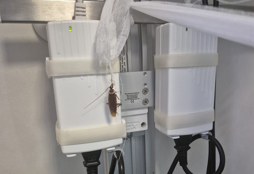 Control la Spitalul Floreasca, după acuzații grave privind lipsa analgezicelor și prezența gândacilor în saloane. Rogobete: „Este inacceptabil”