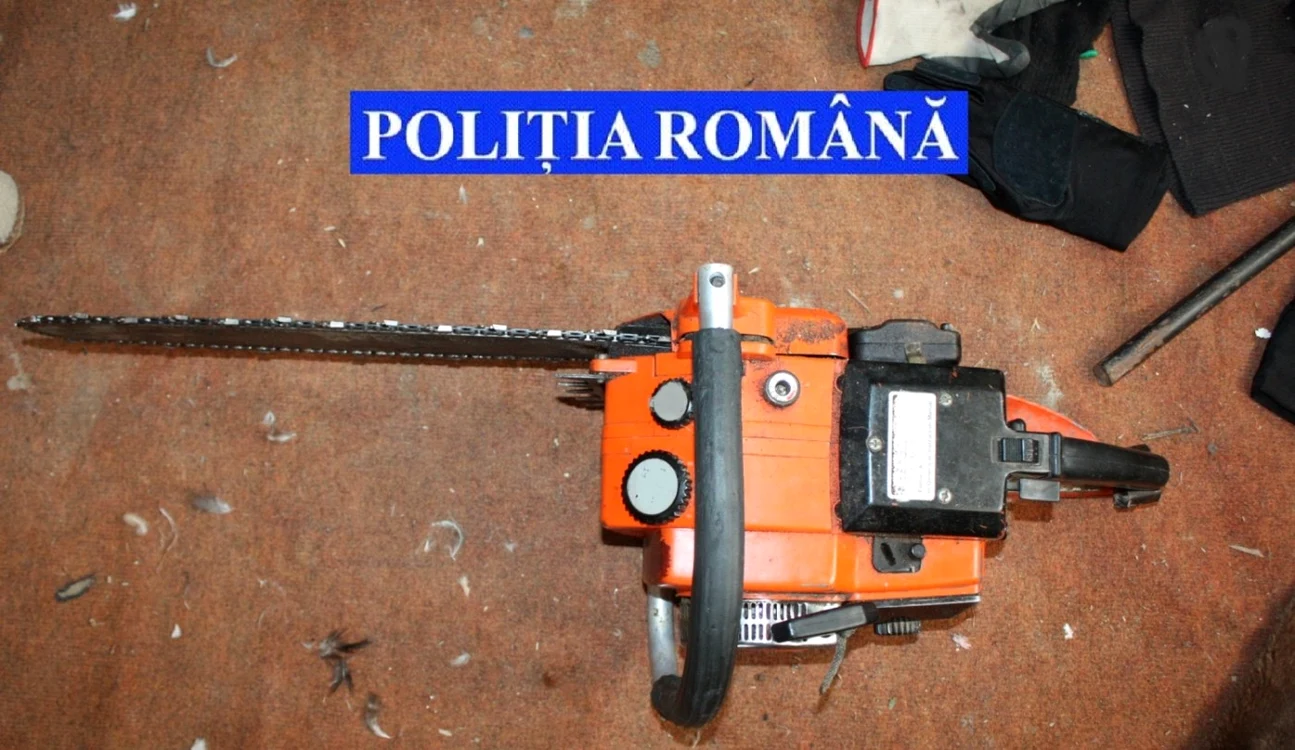 Cei doi tineri s-au ales cu dosare penale