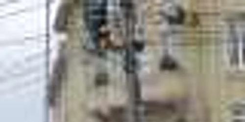 Sunetul emis de megafoane va fi receptat de populaţie pe o distanţă de peste 500 m
