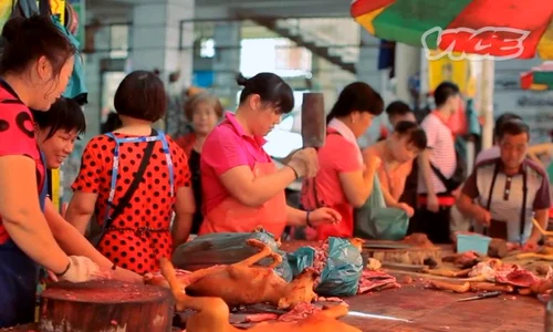 yulin main jpeg