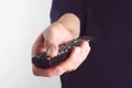 hand 2773840 1280 jpg