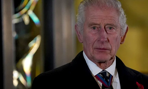 Regele Charles, Profimedia (5) jpg