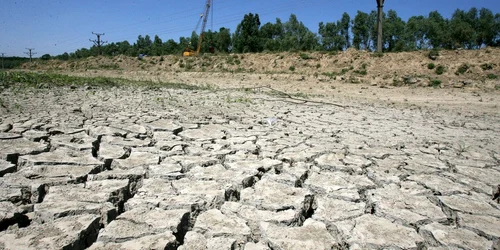 Pământul are nevoie ploi Foto: Adevărul