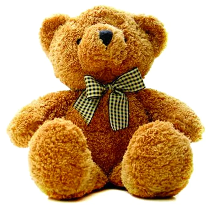 Evită pluşul,  părul şi puful