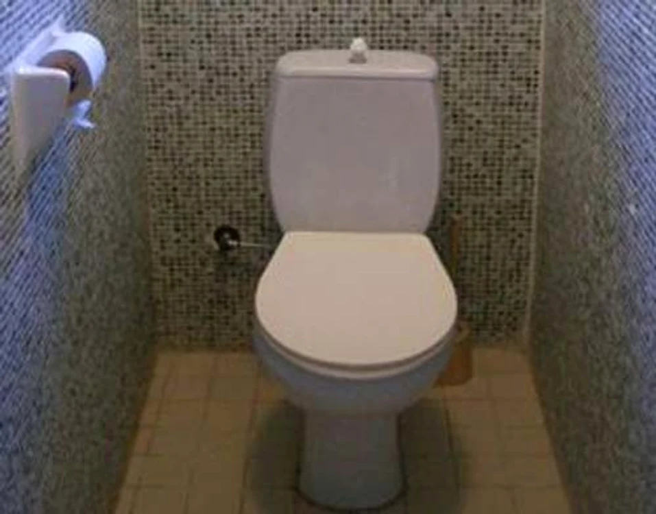 Cei doi pitoni s-au cuibărit în vasul de toaletăFoto: Mirror