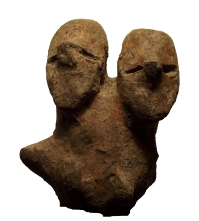 tartaria alba descoperire