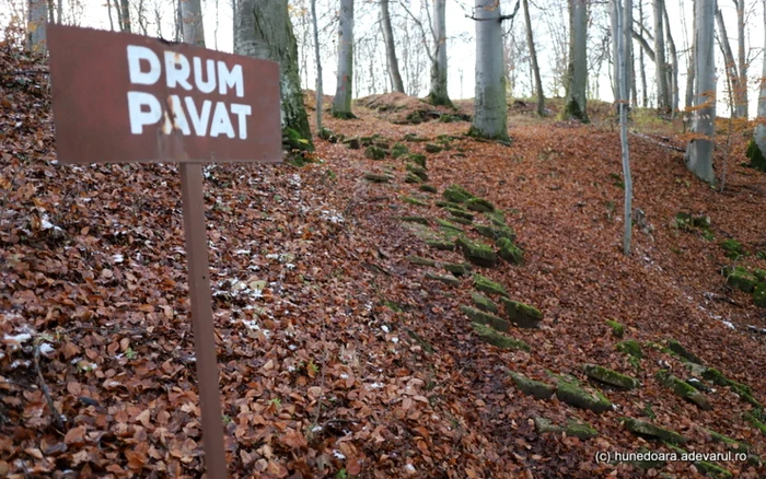 Cetatea dacică Piatra Roşie. Drumul Pavat. Foto: Daniel Guţă. ADEVĂRUL