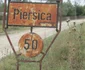 piersica 1