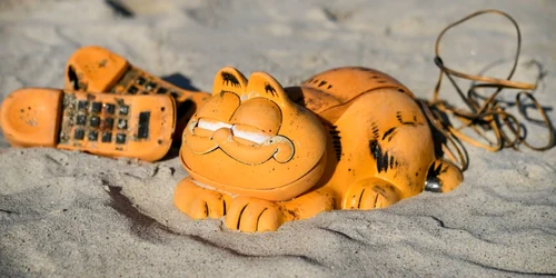 Telefoane Garfield