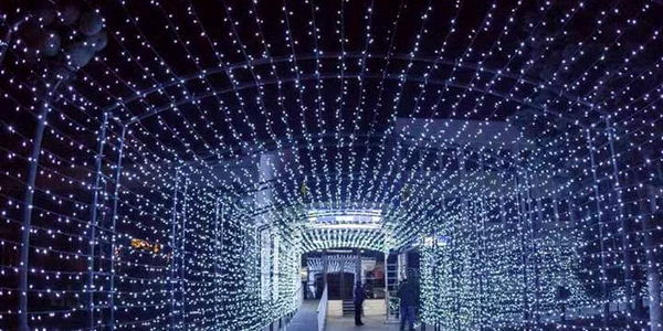 luminite consiliul judetean jpg