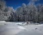 sarmizegetusa regia