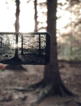 clickpentrufemei ro pexels nathanjhilton 5978370 jpg