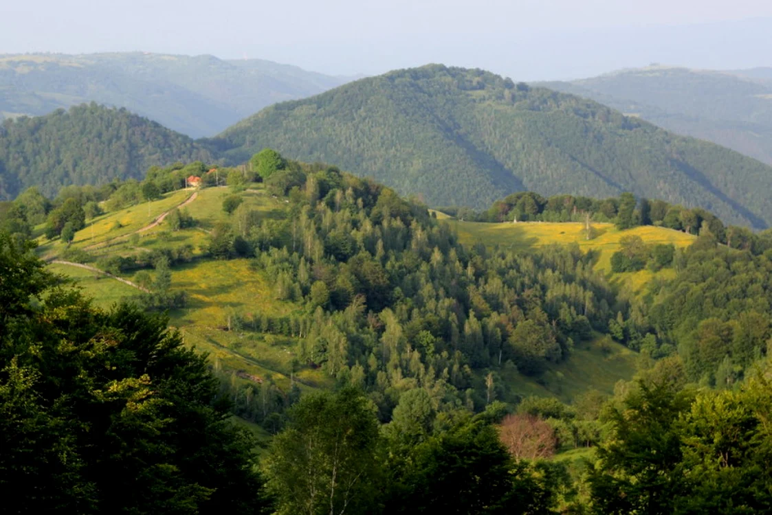 Ţinutul Pădurenilor. FOTO: Daniel Guţă. ADEVĂRUL.