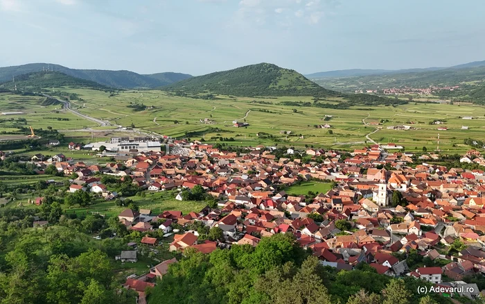 Boița. Foto: Daniel Guță. ADEVĂRUL
