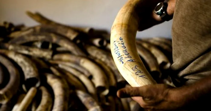 Foto arhivă Adevărul