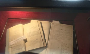 Expoziția „Nicolae Tonitza – 140 de ani de la naștere” (foto:  Arhivele Naționale ale României)