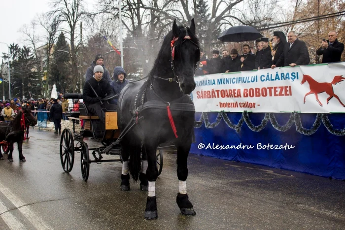 Botezul ;i parada cailor au fost anulate de autorităţi FOTO Alexandru Botezatu