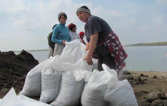 Pentru protecţia digului, s-a luat măsura a îmbrăca eroziunea cu material geo-textil şi saci cu nisip, potrivit prefectului judeţului Ialomiţa FOTO Adevărul