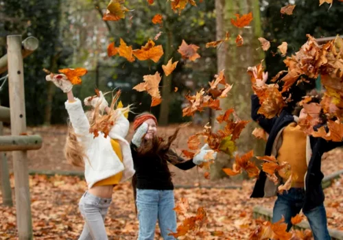 vacanta de toamna foto classpop png