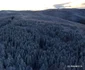 Tinutul Padurenilor Poiana Rachitelii iarna (15) JPG