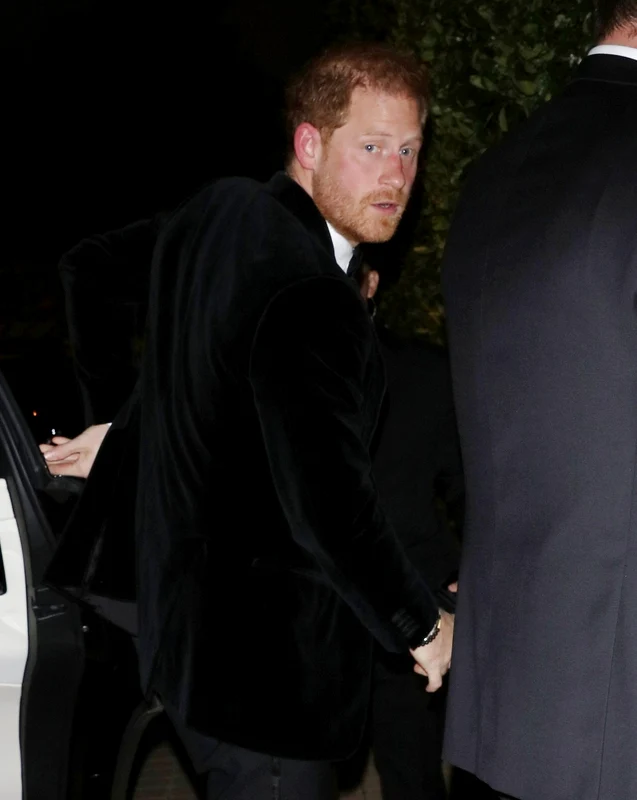 Prinţul Harry. FOTO: Profimedia