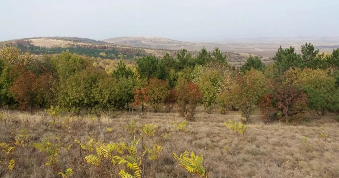 muntii macin