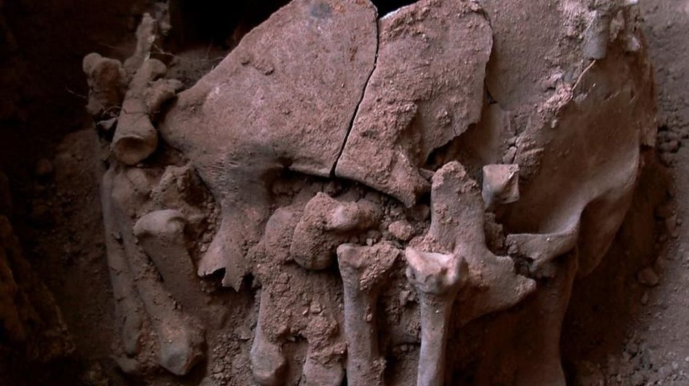 Descoperire arheologică tulburătoare. Dovezile uciderii a zeci de femei și copii în urma unei vânători de capete