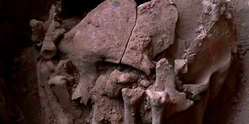 Cel mai vechi şi bizar caz de decapitare din Lumea Nouă jpeg