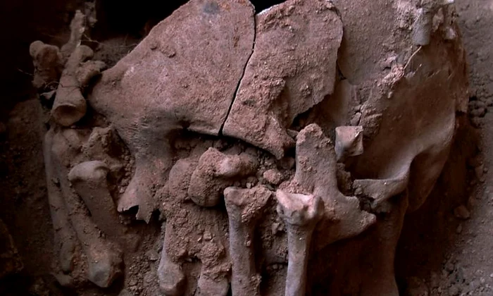 Cel mai vechi şi bizar caz de decapitare din Lumea Nouă jpeg