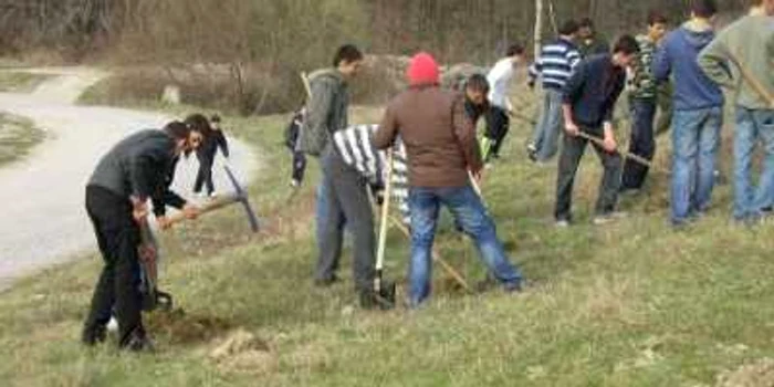 Elevii vor participa la acțiunile de plantare 