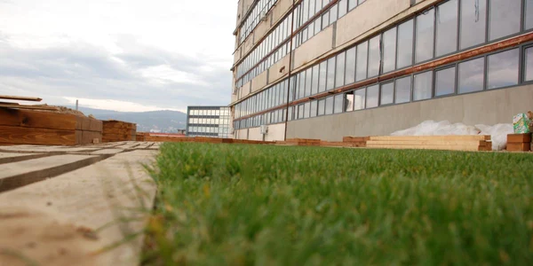 prima gradina de pe acoperisul unei clădiri a fost amenajata la cluj