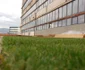 prima gradina de pe acoperisul unei clădiri a fost amenajata la cluj