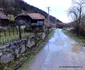 Runcu Mare Foto Daniel Guță ADEVĂRUL (5) jpg