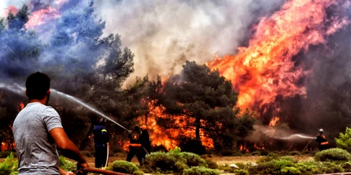 Incendii Grecia / FOTO EPA - EFE / 25 iul 2018