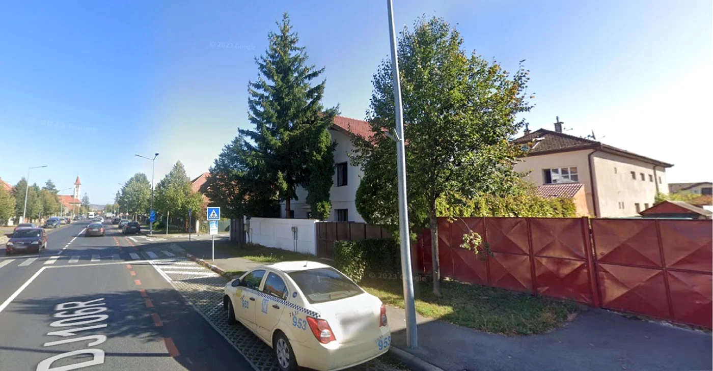 Teiul, înainte de a fi tăiat / foto: Google Maps