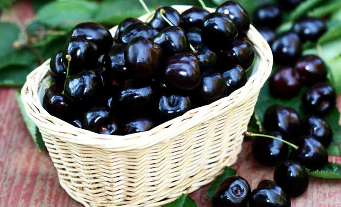 
    Cireșe amareDoto: Shutterstock  