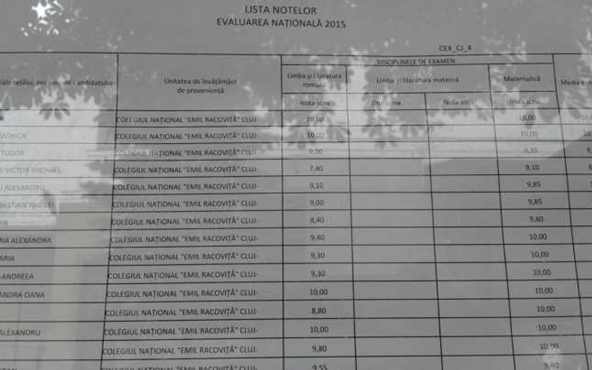 rezultate evaluare nationala 2015 cluj foto