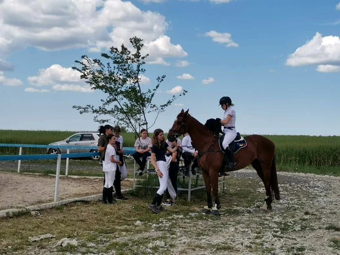 Competie ecvestră la Baza Cantemir de la Timisoara FOTO Ștefan Both
