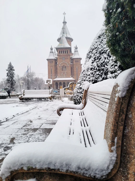 Prima ninsoare din 2014 la Timișoara FOTO Răzvan Vitionescu