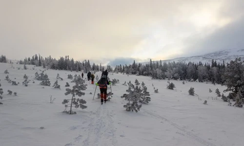 1 shutterstock 1414448276 jpg jpeg