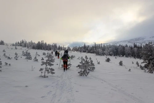 1 shutterstock 1414448276 jpg jpeg