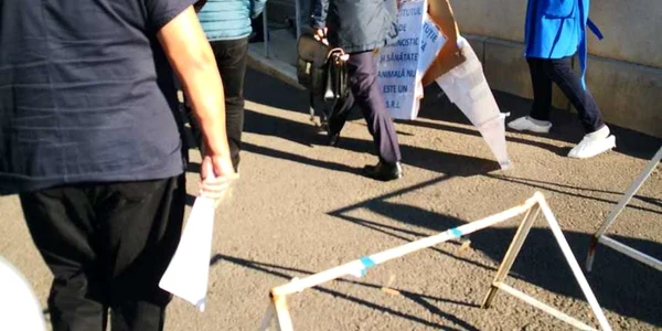 protest ansvsa