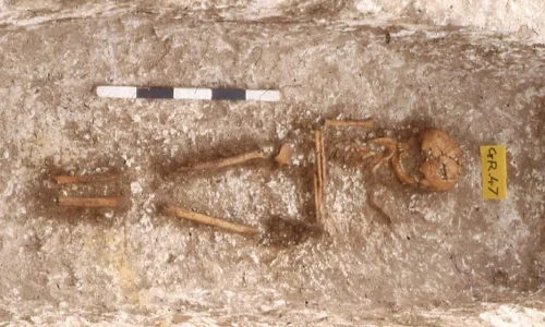 african ancestry in medieval england 1 webp