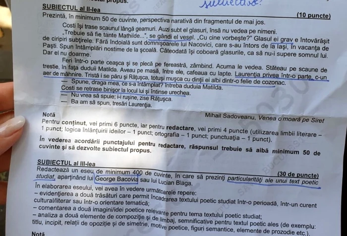 Subiecte la proba scrisă de Limba și literatura română, Bacalaureat 2019