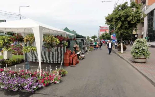 expoflora slatina