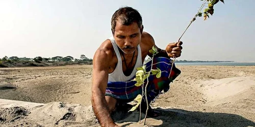 jadav payeng india foto boredpanda.com