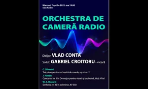 Live de la Sala Radio: concert Silvestri/Haydn/Mozart jpeg