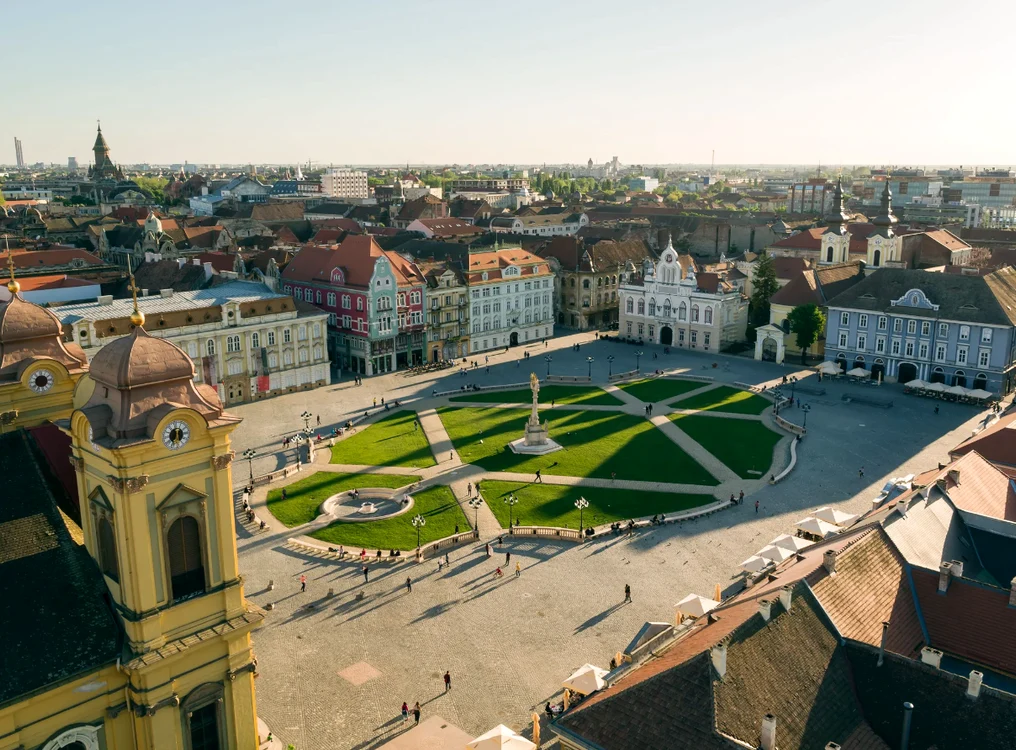 Roiuri de albine au apărut în Timișoara